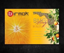 Birmok Media Group Co. Inc. (1)