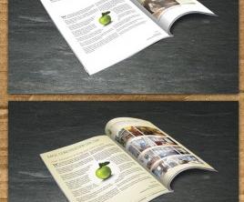 Half- Fold Brochure