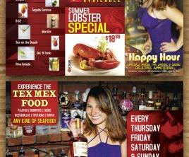 Tri- Fold Brochure